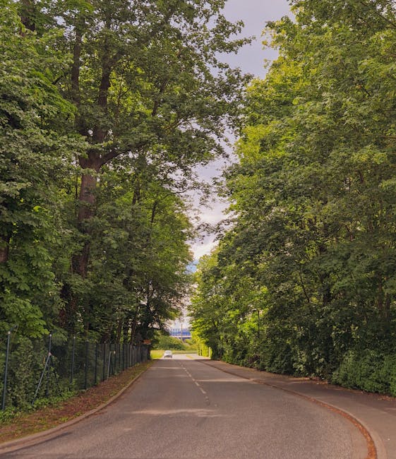 A quiet residential street with a paved road curving gently to the right, flanked by dense green foliage and tall trees on both sides, their branches extending overhead to form a natural canopy. On the left side, a metal fence runs parallel to the pavement, partially obscured by bushes and leafy plants. In the background, a white van is visible, parked near the edge of the driveway, possibly during a home relocation or furniture transport process. The scene is illuminated by natural daylight, with a partly cloudy sky visible through gaps in the tree cover. The environment suggests a peaceful suburban area, suitable for house removals and moving services, with ample space for loading and unloading. Man with Van Hainault occasionally handles such local moves, ensuring safe and efficient furniture transport within residential settings, including parking and access considerations for movers.